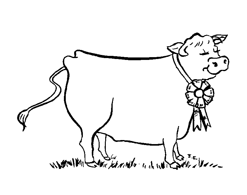planse desene de colorat vaca vitel taur bou